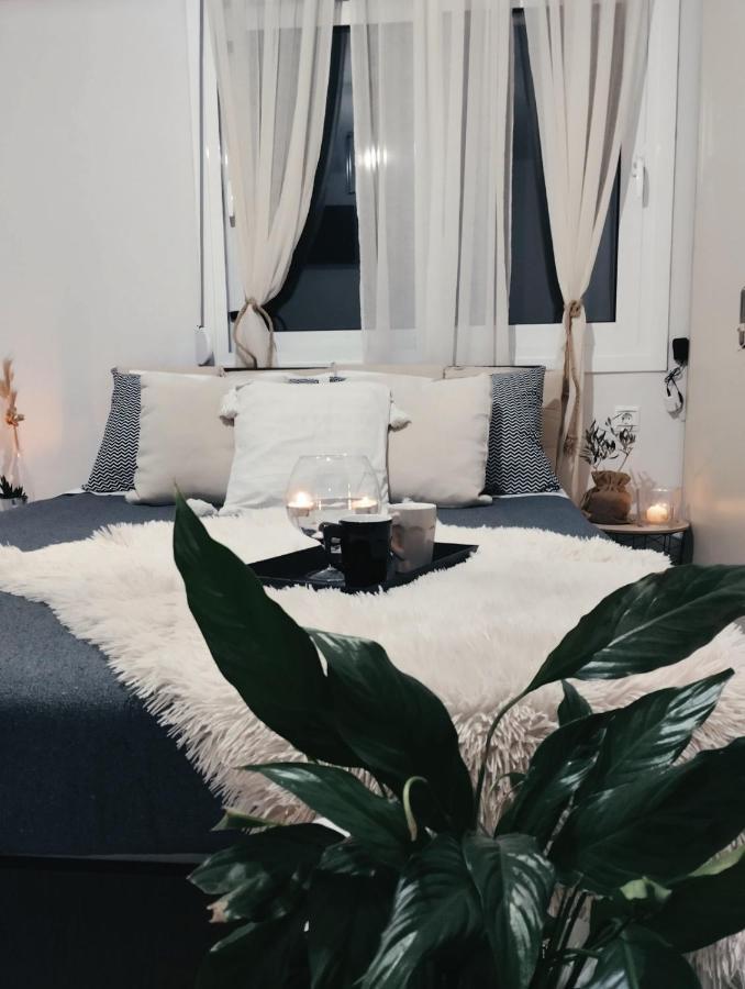 Apartment Riviera